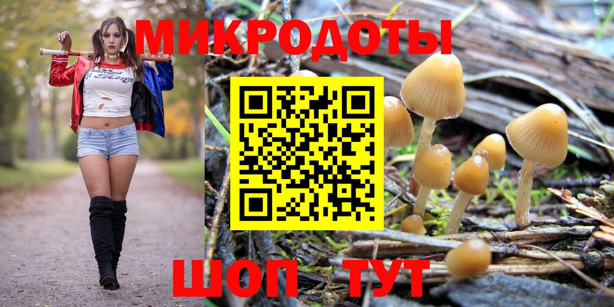 Псилоцибиновые грибы Cubensis Назрань