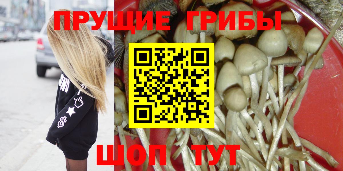 что такое наркотик  Вход с VPN  Назрань  Галлюциногенные грибы GOLDEN TEACHER  Псилоцибиновые грибы мухоморы 